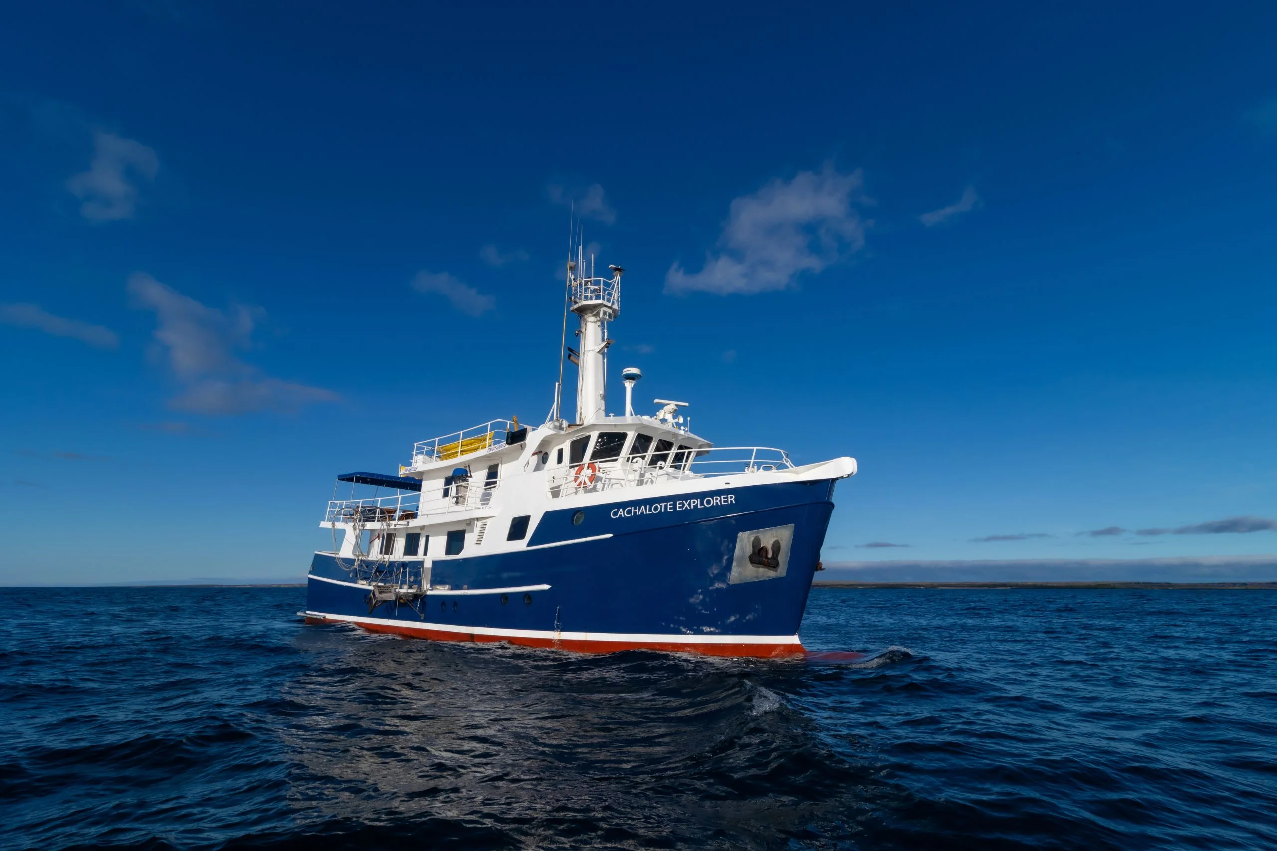 Cachalote Explorer cruise